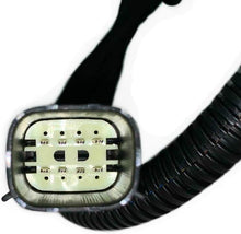 Load image into Gallery viewer, Mustang O2 Front Sensor Extension Harness 24" DUAL Kit Fit 11-14 3.7L OXYGEN0097